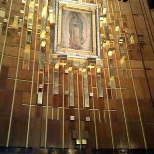 Meet your Posher, Lydia